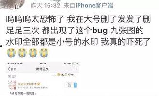 娱乐圈吃瓜前线小说全文阅读