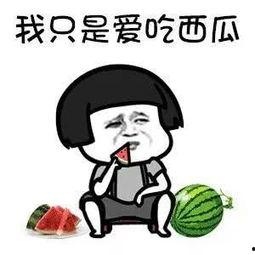 娱乐吃瓜最新一期,揭秘最新一期热点事件，明星幕后故事大揭秘！