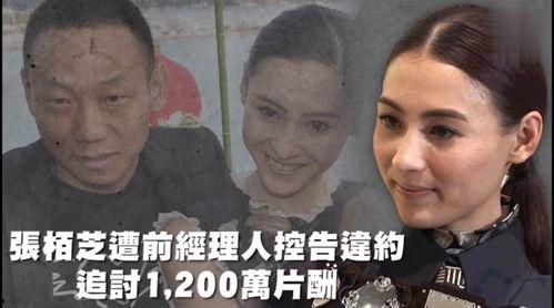 娱乐吃瓜汉,揭秘明星幕后故事与热点事件