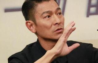 娱乐吃瓜刘德华,刘德华的辉煌与争议