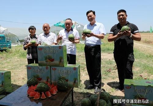 娱乐吃瓜小八哥是谁啊小说,网络红人的崛起之路