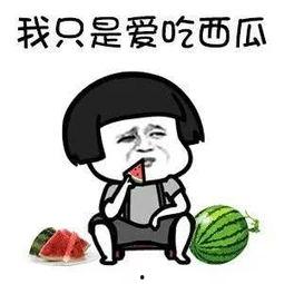 娱乐吃瓜猹,揭秘“吃瓜猹”背后的故事